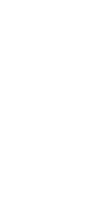 shape chlick Vasco Teixeira-Pinto 1