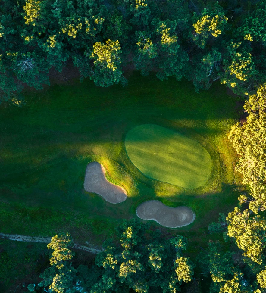 We are a team of experts