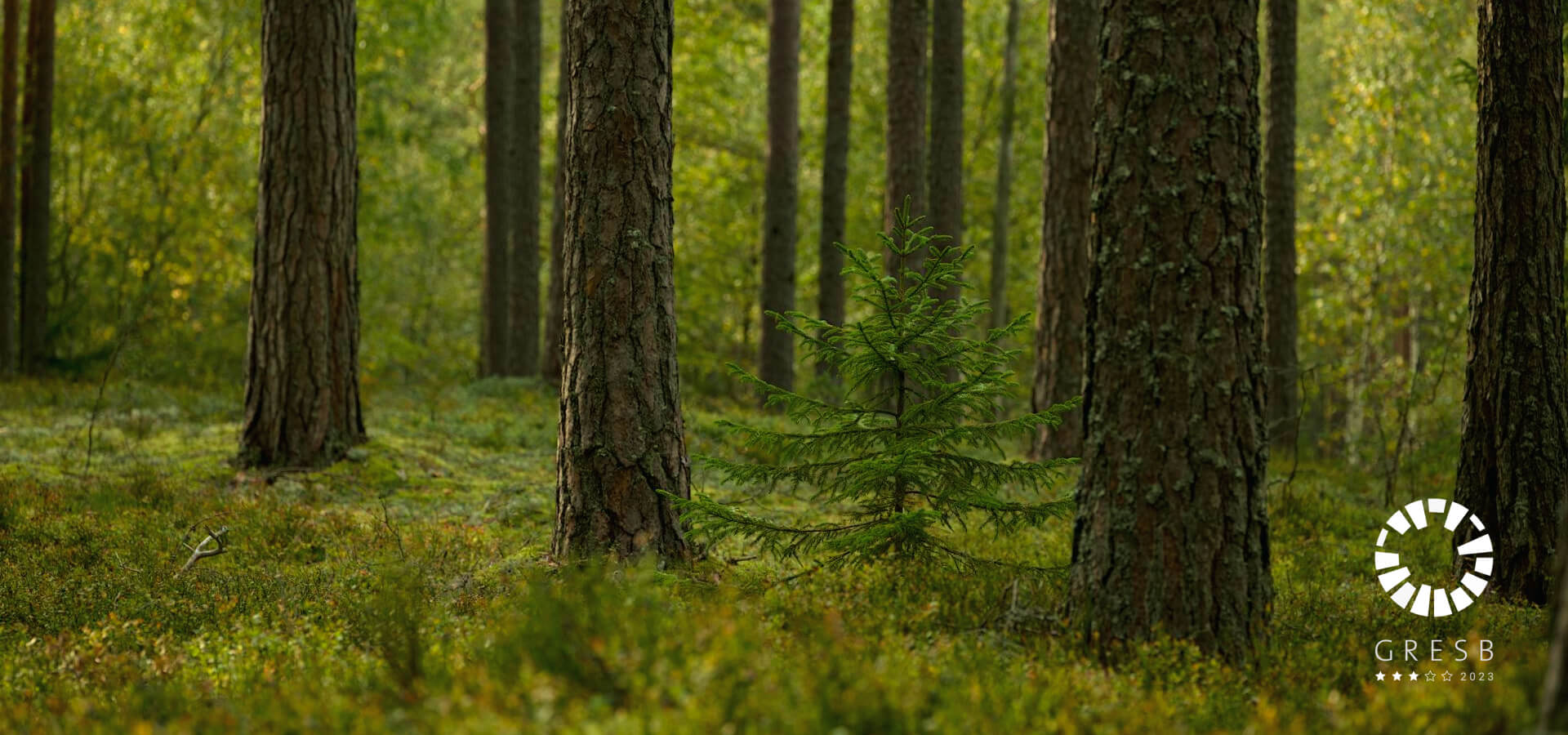 FastFiber é a operadora europeia de redes de fibra mais sustentável do ranking GRESB 2023