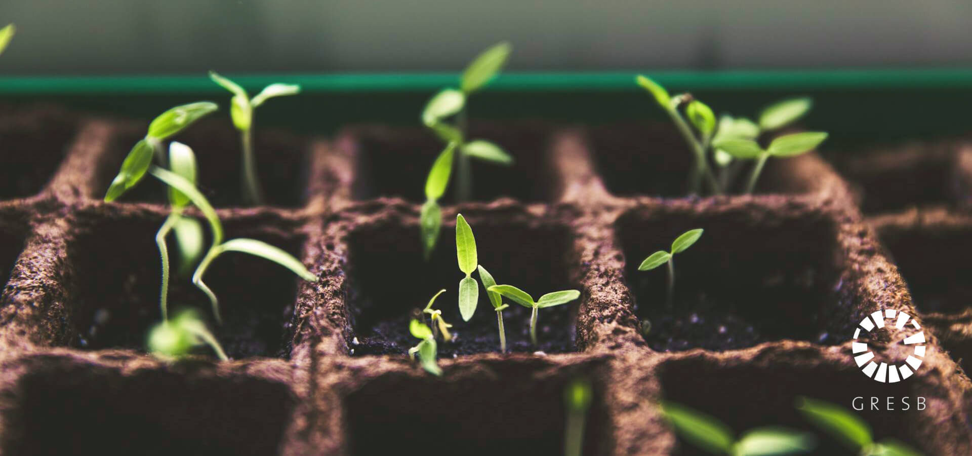 FastFiber alcança a pontuação máxima do GRESB em 2024 e obteve, pelo quarto ano consecutivo a classificação de 5 estrelas