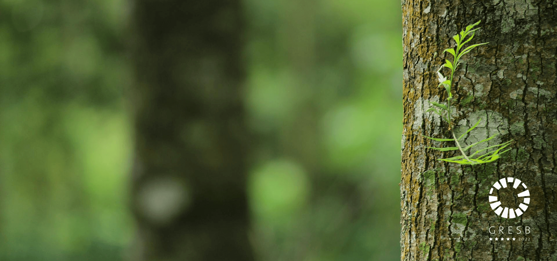 FastFiber é a operadora de redes de fibra mais sustentável do ranking GRESB 2022