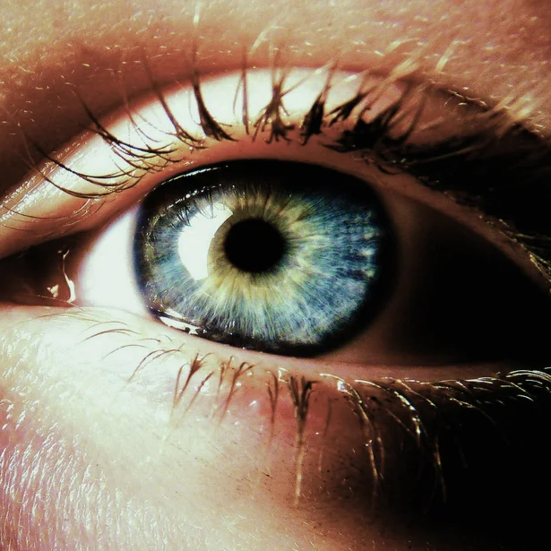 A comunicação com base em fibra óptica traduz-se numa série de vantagens. Na óptica do utilizador, estes benefícios prendem-se sobretudo com: