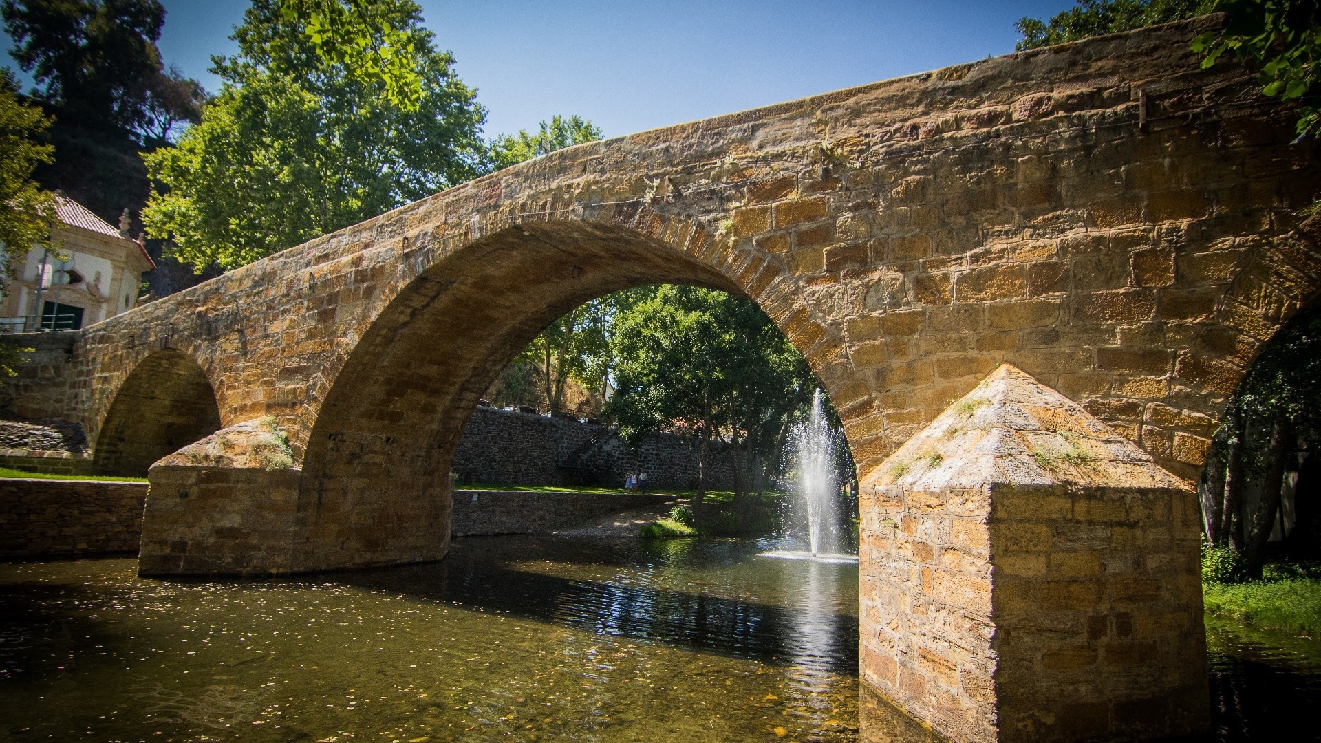 Serviços de acesso à rede de fibra ótica já disponíveis em 5 concelhos da Zona Centro