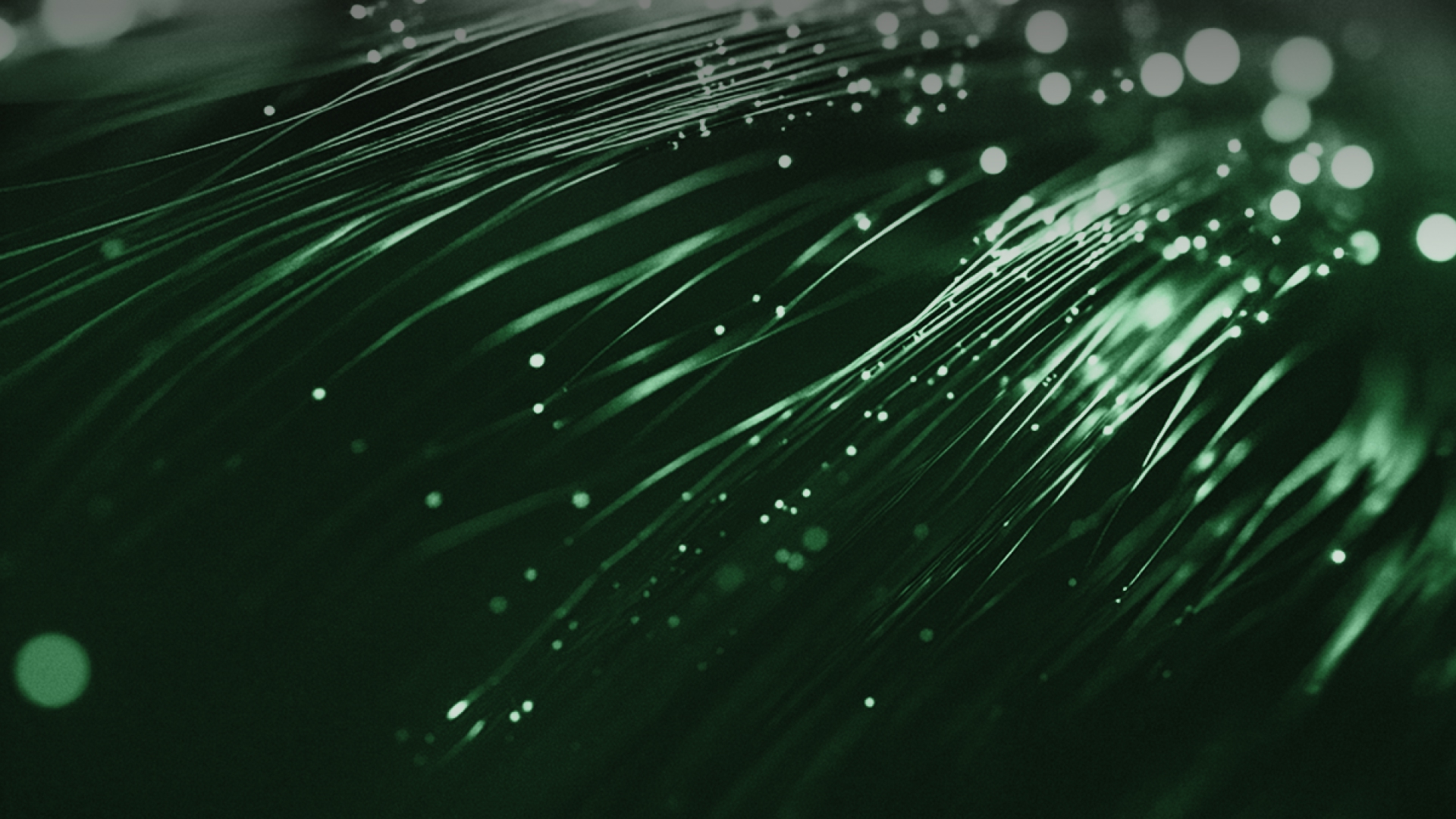 Publicação de nova versão da Oferta Regulada de Acesso Passivo à Rede de Fibra