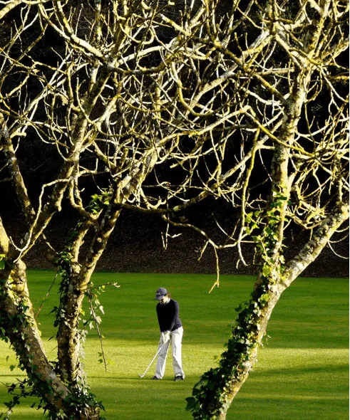 imagem do Lisbon Sports Club