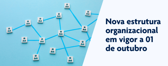 estrutura organizacional